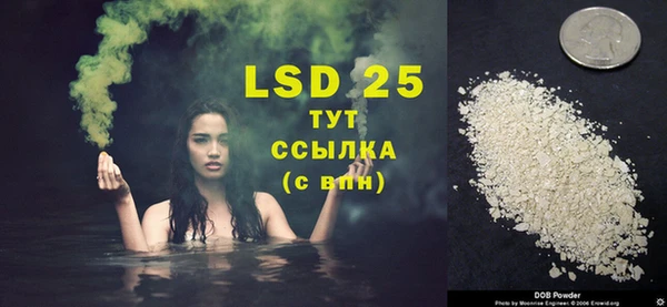 трава Аркадак