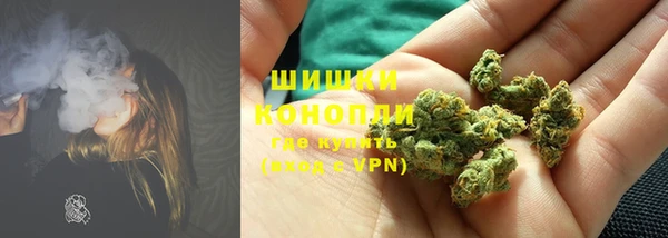 трава Аркадак