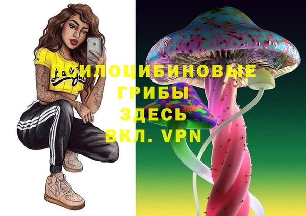 мяу мяу мука Арсеньев