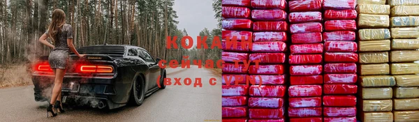 мяу мяу мука Арсеньев