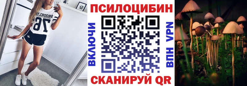 Псилоцибиновые грибы мицелий  OMG вход  Лыткарино 